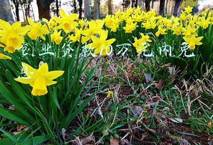 创业贷款10万元内免息
