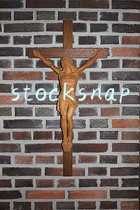 stocksnap