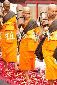 黛珂植物韵律水乳孕妇可以用吗(家里有这款水乳该偷笑咯)