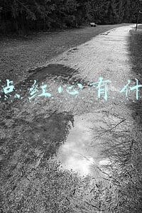 快手点红心有什么用