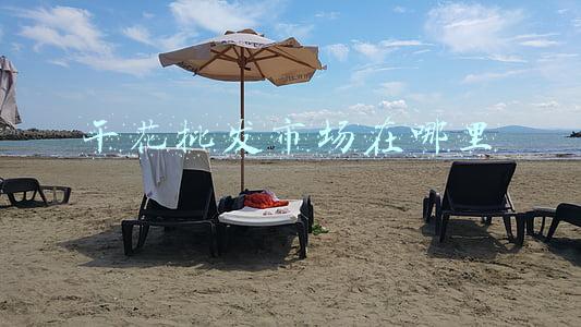干花批发市场在哪里