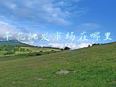 干花批发市场在哪里