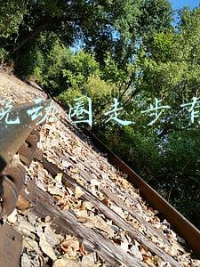 下载悦动圈走步有红包