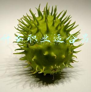 有什么职业适合男生