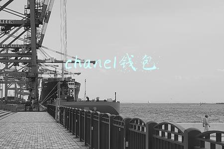 chanel钱包