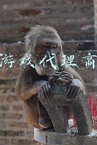 游戏代理商有权修改游戏吗(监管部门发声 杜绝游戏擅自变更内容等违法行为)