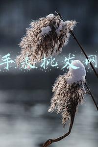 手表批发网站(瑞士奢侈手表商大力拓展直销零售渠道，传统批发模式逐渐式微)