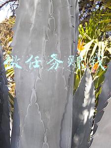 做任务赚钱
