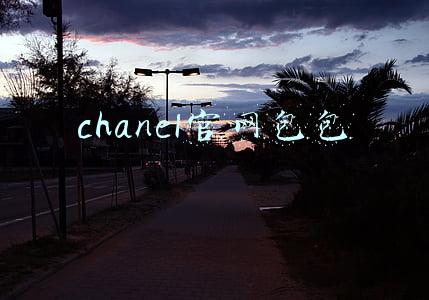 chanel官网包包