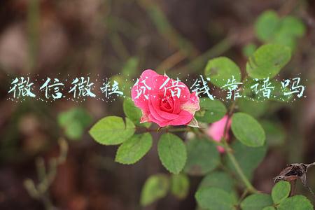 微信微粒贷借钱靠谱吗能随借随还吗(哪个借钱平台好？小额贷款产品微粒贷值得信赖)