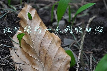 红配绿的一系列顺口溜