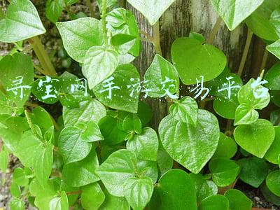 寻宝网手游交易平台