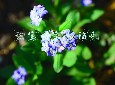 淘宝买家秀福利