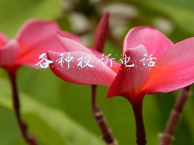 各种投诉电话
