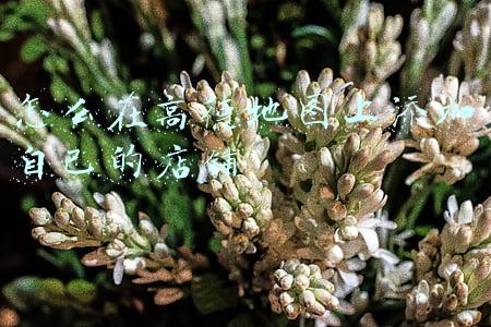 怎么在高德地图上添加自己的店铺审核多久(如何在高德地图新增一个地点，这些都是免费的哦)