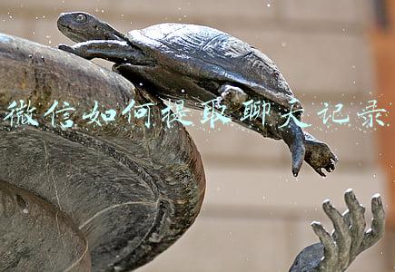 微信如何提取聊天记录