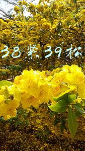 平时穿38的鞋子买了双39的差的多吗(吴京：不存在吴京打败了吴京 是中国电影在步步前进)