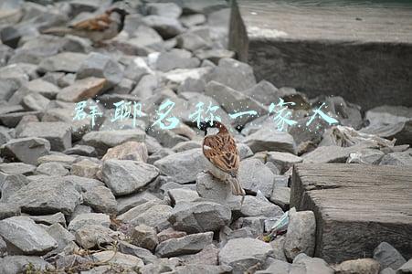 群聊名称一家人