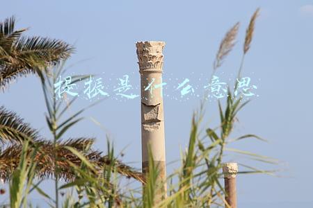 提振接什么词(公文写作常用词句之词组)