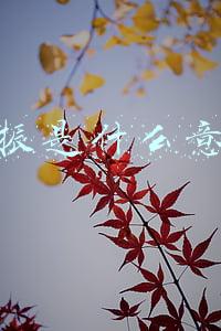 提振是什么意思