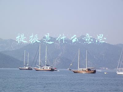 提振是什么意思