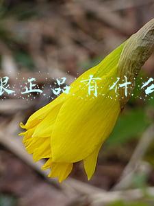 串货跟正品有什么区别