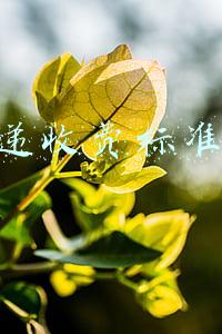快递收费标准201