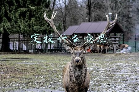 定投什么意思