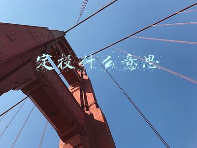 定投什么意思