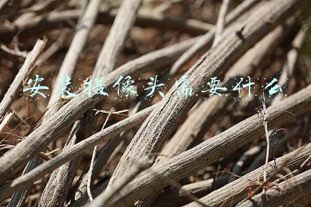 安装摄像头需要什么