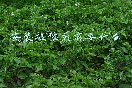 安装摄像头需要什么