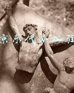 京东代办入驻