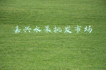嘉兴水果批发市场营业时间(价格“腰斩”都不止！有人一天卖出1000多箱，再不吃就下市了)