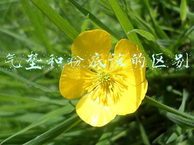 气垫和粉底液的区别