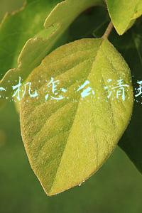 手机怎么清理