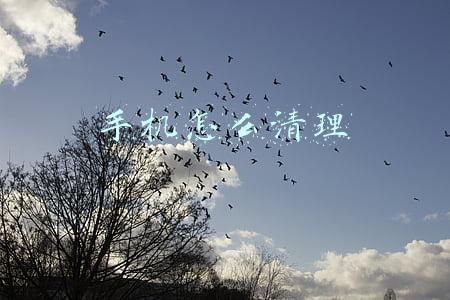 手机怎么清理
