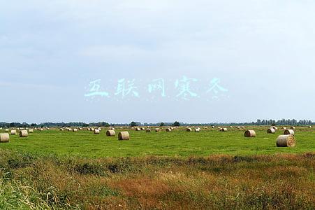 互联网寒冬
