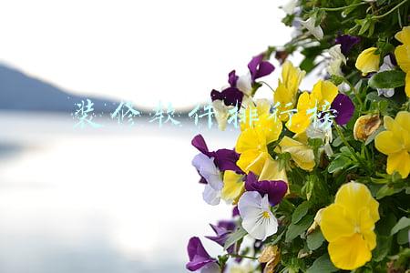 装修软件排行榜