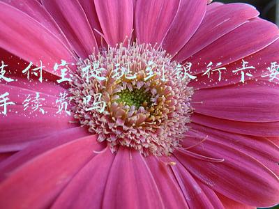 支付宝提现到银行卡要手续费吗