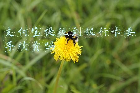 支付宝提现到银行卡要手续费吗