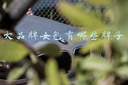 大品牌女包有哪些牌子