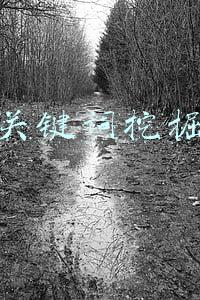 关键词挖掘