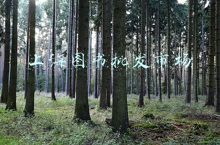 上海图书批发市场进货渠道(上海豫园的书市，隐藏在闹市的淘书好去处)