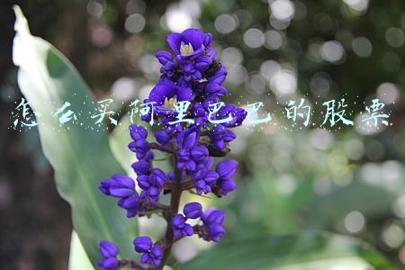 怎么买阿里巴巴的股票