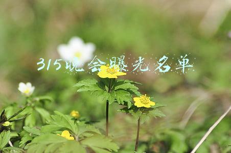 315晚会曝光名单