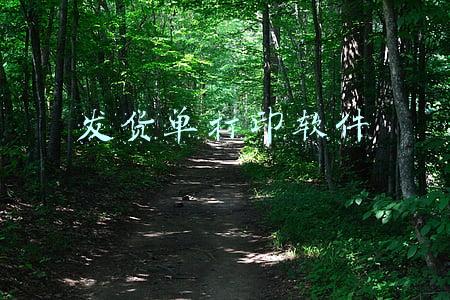 发货单打印软件