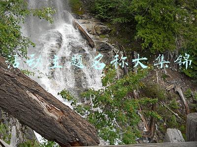 活动主题名称大集锦
