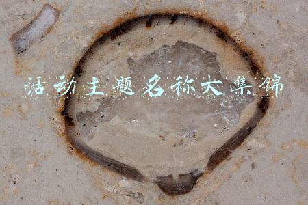 活动主题名称大集锦