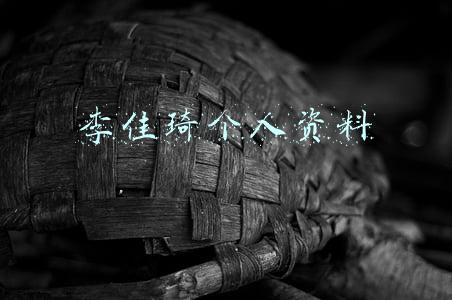 李佳琦个人资料