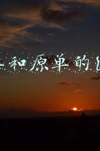 跟单和原单的区别